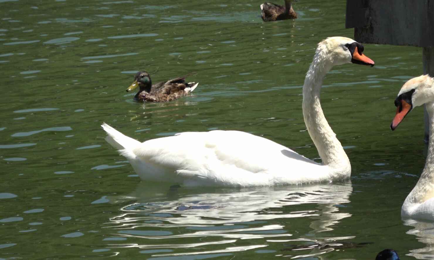 parque-paloma-19.jpg