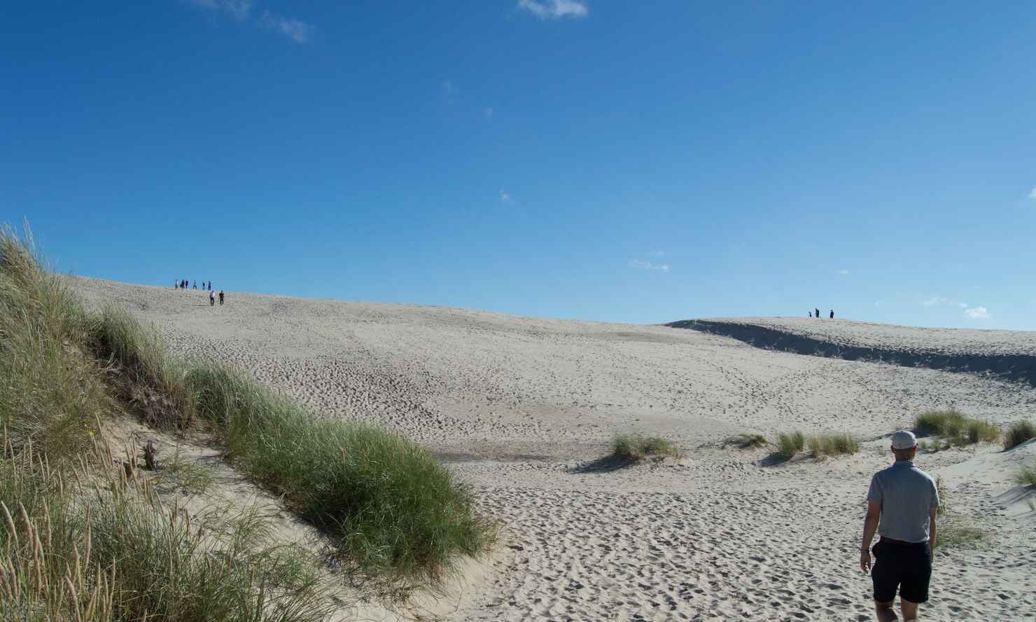 Råbjerg-mile-4.jpg