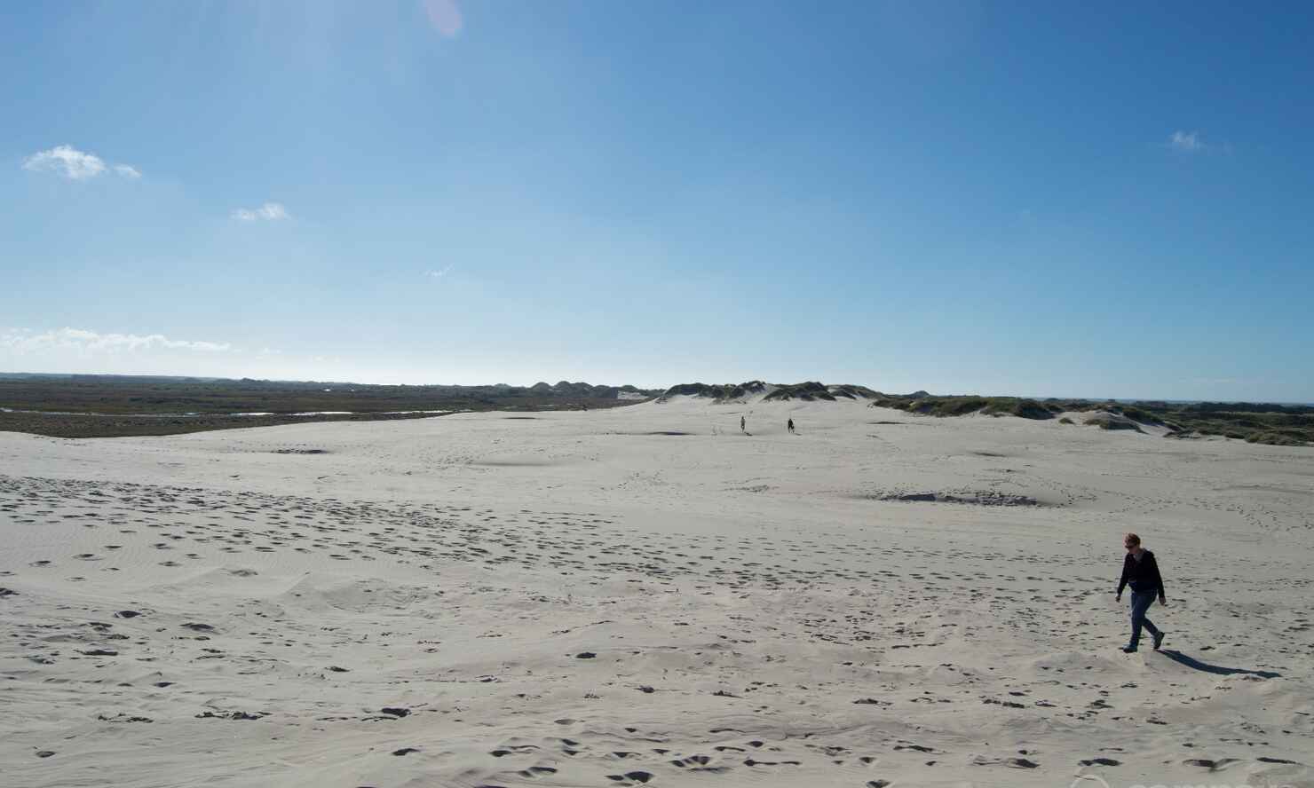 Råbjerg-mile-6.jpg