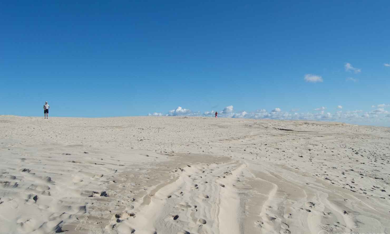 Råbjerg-mile-7.jpg
