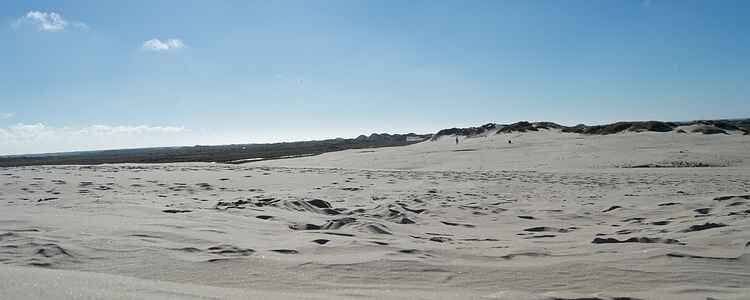 På tur i ørkenen: Sandsurfing og fatamorganaer 