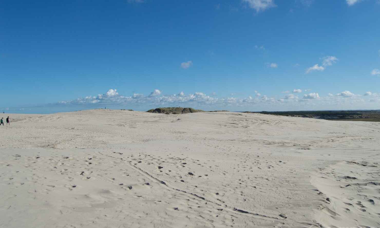Råbjerg-mile-10.jpg