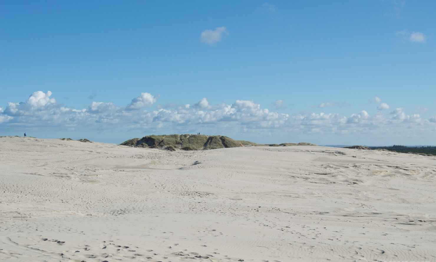 Råbjerg-mile-11.jpg
