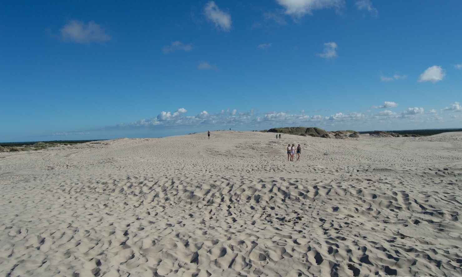 Råbjerg-mile-13.jpg