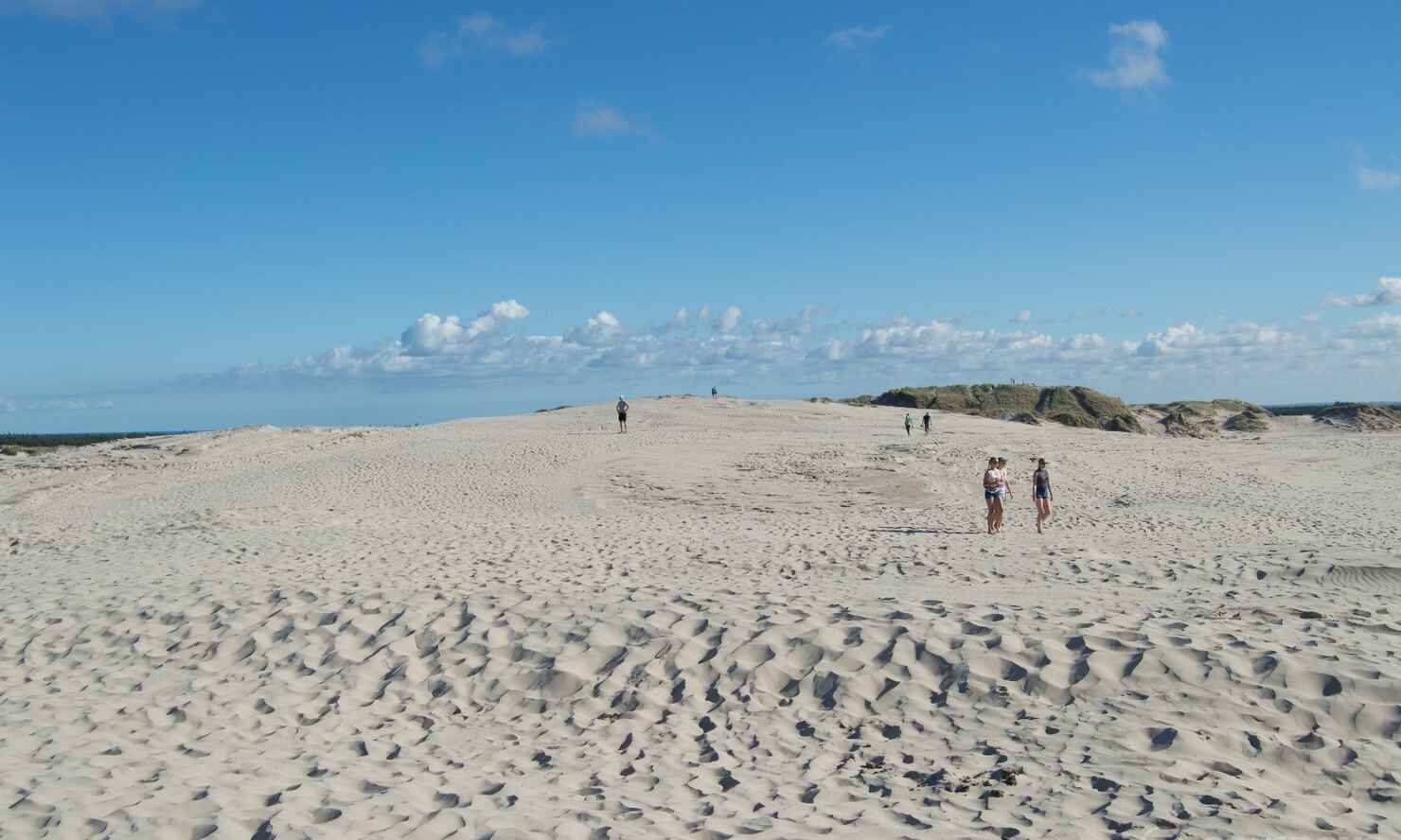 Råbjerg-mile-14.jpg