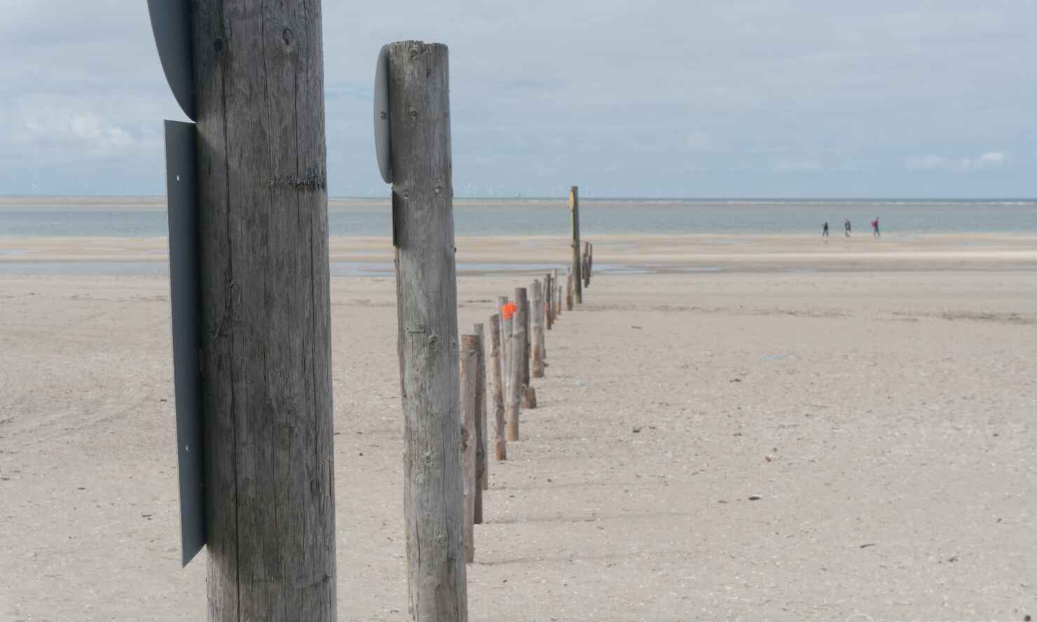 blåvand-strand.jpg