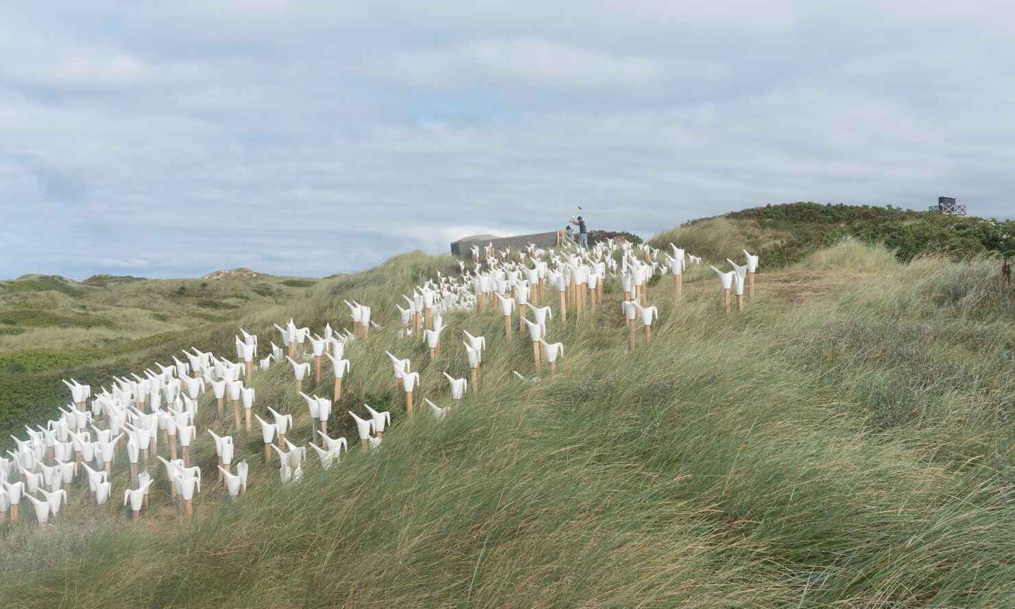 blåvand-strand-2.jpg