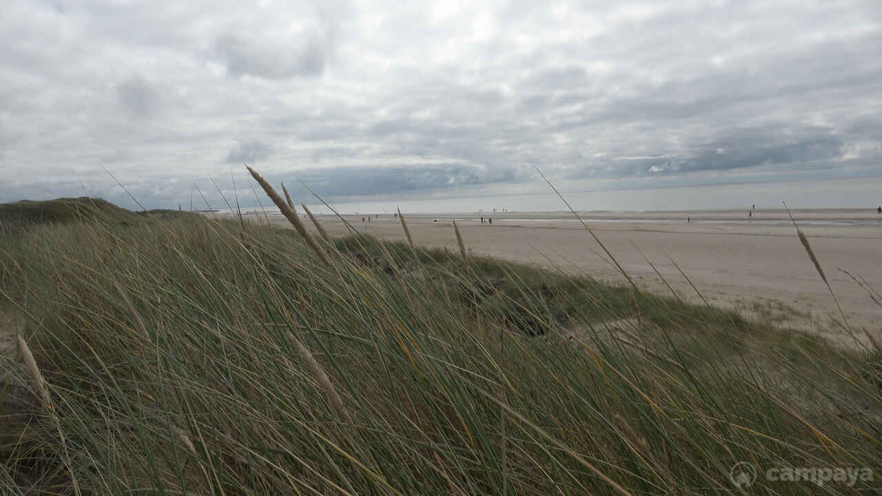 blåvand-strand-5.jpg