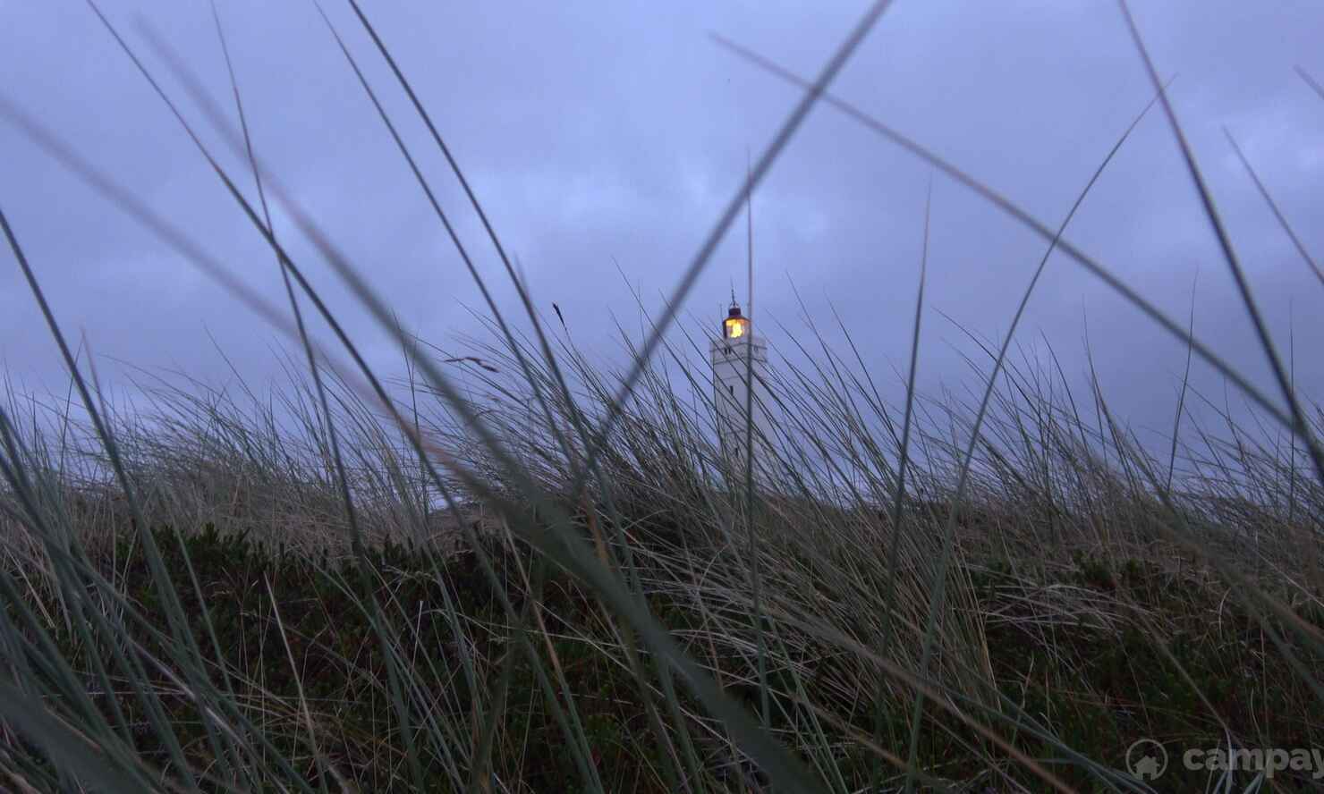 blåvand-strand-22.jpg