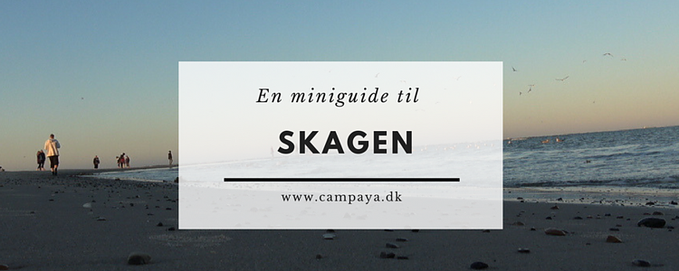 Miniguide til Skagen