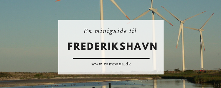 Miniguide til Frederikshavn