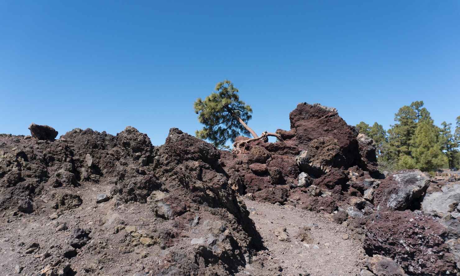 El-Teide-6.jpg