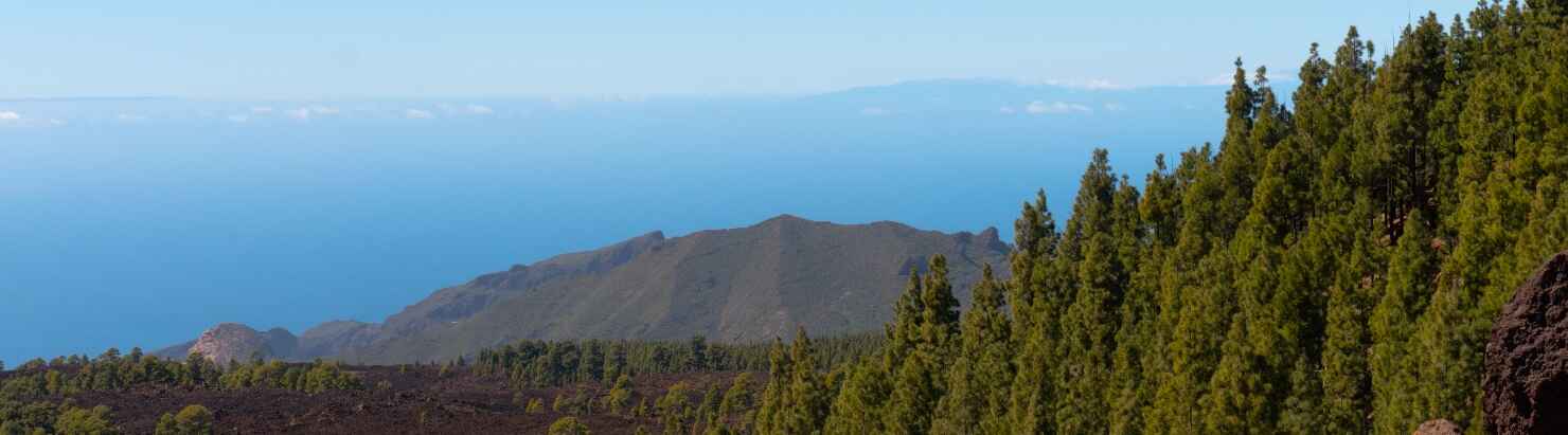 El-Teide-9.jpg
