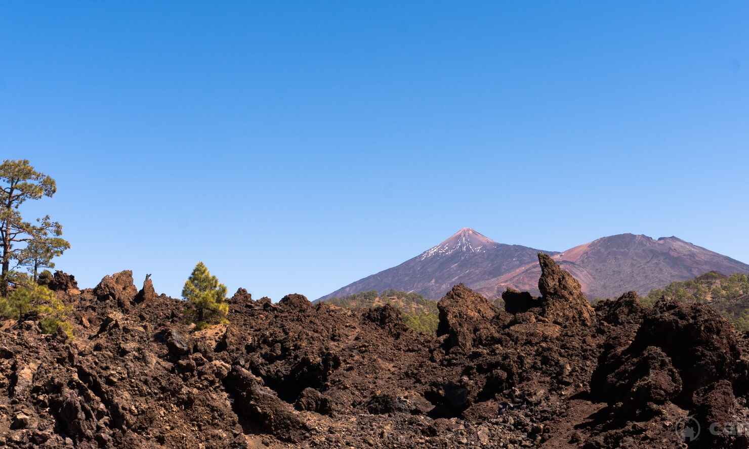 El-Teide-7.jpg