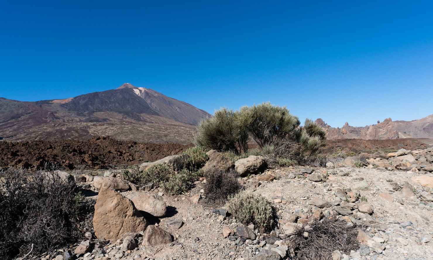 El-Teide-48.jpg