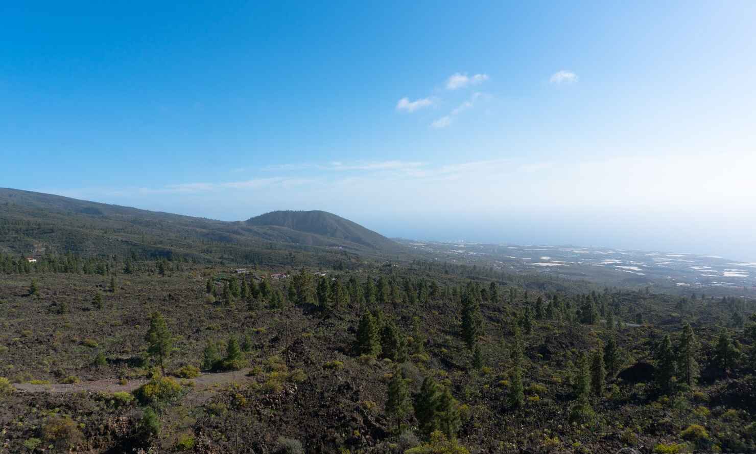 El-Teide-52.jpg