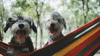 Image of Griekenland