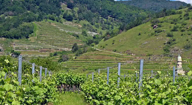 Casa vacanze in Krems-Land