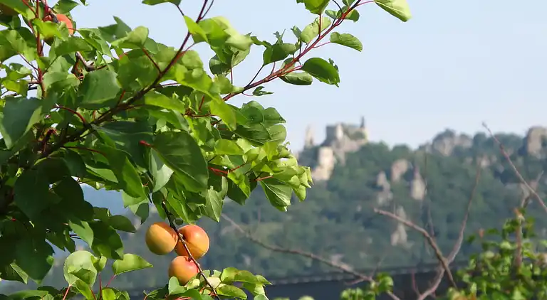 Casa vacanze in Krems-Land