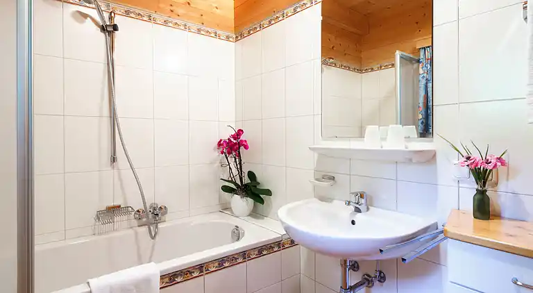 Feriebolig i Schlierbach