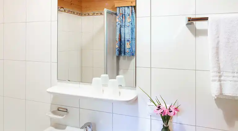 Feriebolig i Schlierbach