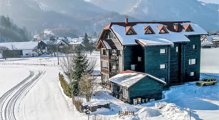 Feriebolig i Grünau im Almtal