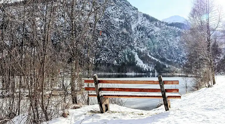 Feriebolig i Grünau im Almtal