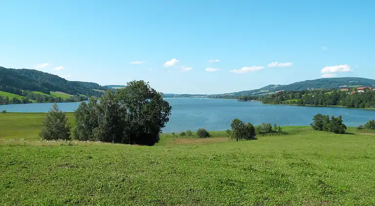 Feriebolig i Oberwang