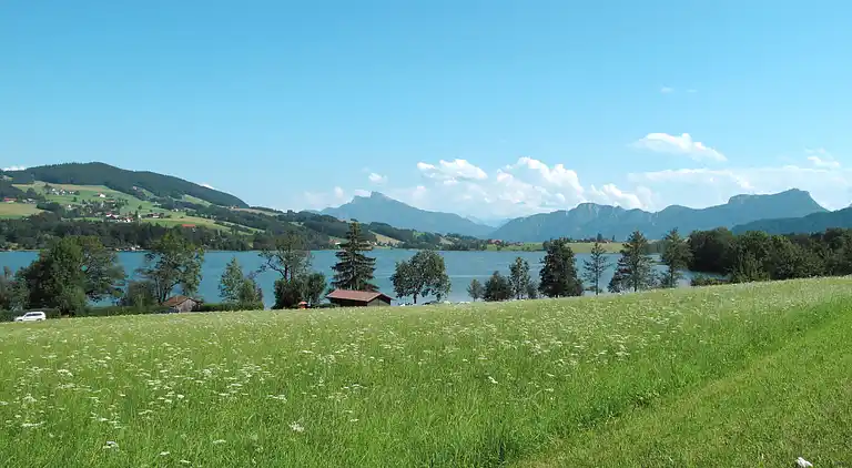 Feriebolig i Oberwang