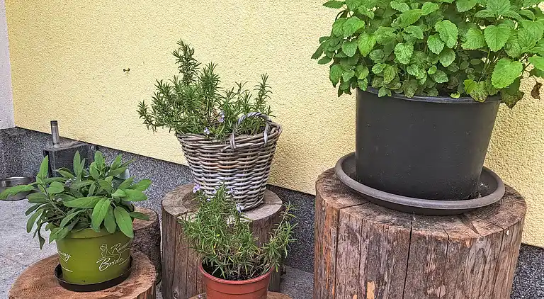 Feriebolig i Oberwang