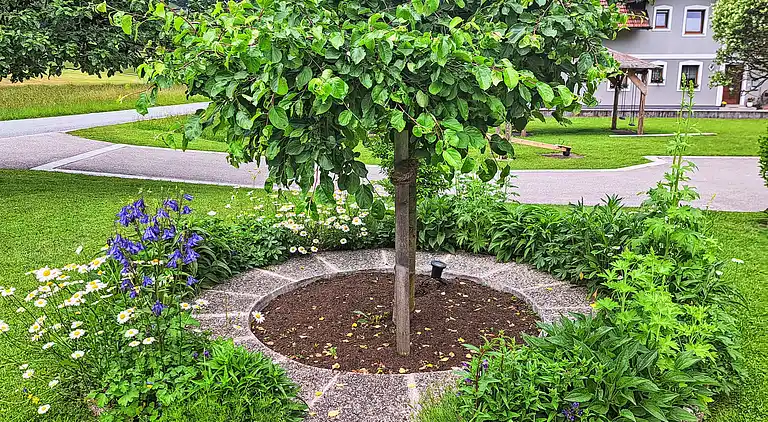 Feriebolig i Oberwang