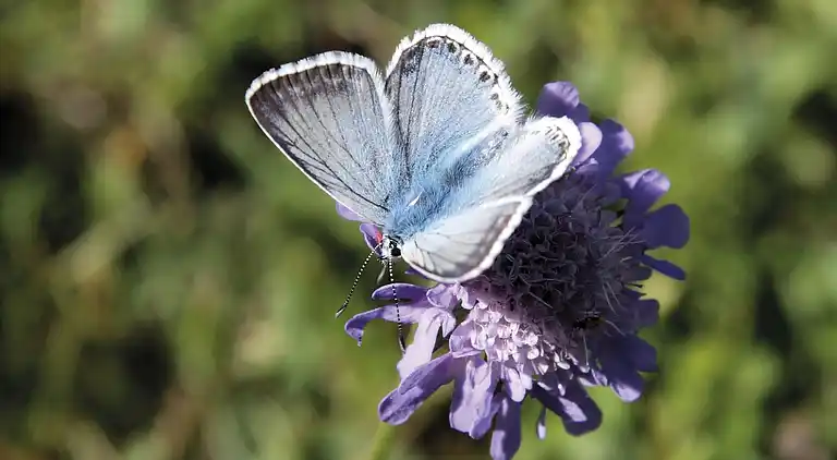 Casa vacanze in Obertauern
