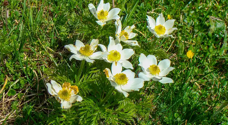 Casa vacanze in Obertauern