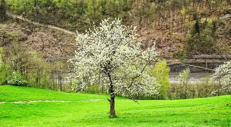 Holiday home in Goldegg