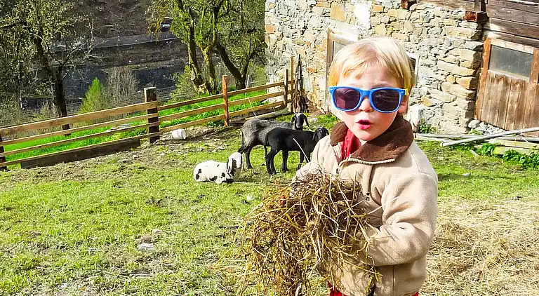 Holiday home in Goldegg