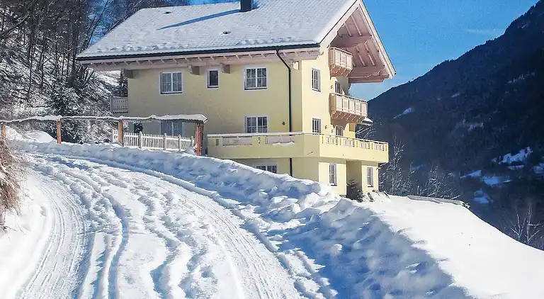 Holiday home in Goldegg