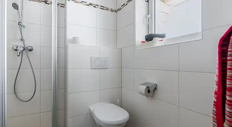 Holiday home in Goldegg