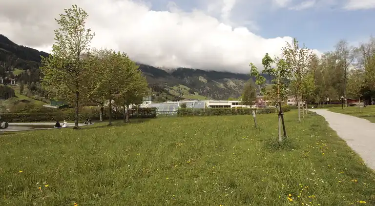 Holiday home in Bad Hofgastein