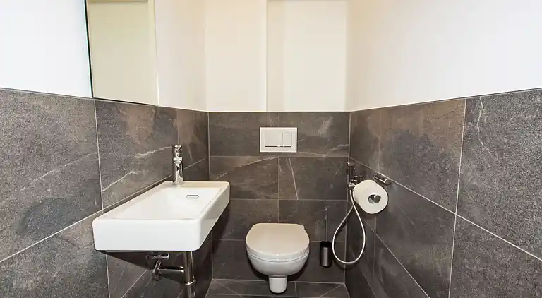 Feriebolig i Zell am See