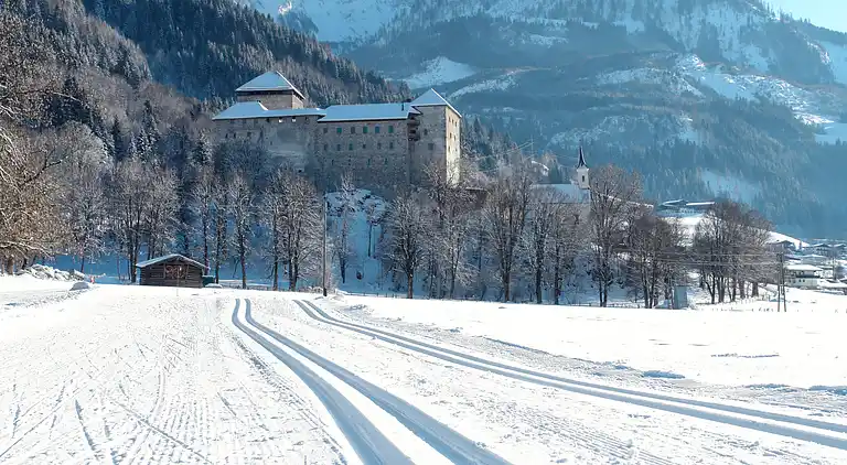 Holiday home in Zell am See