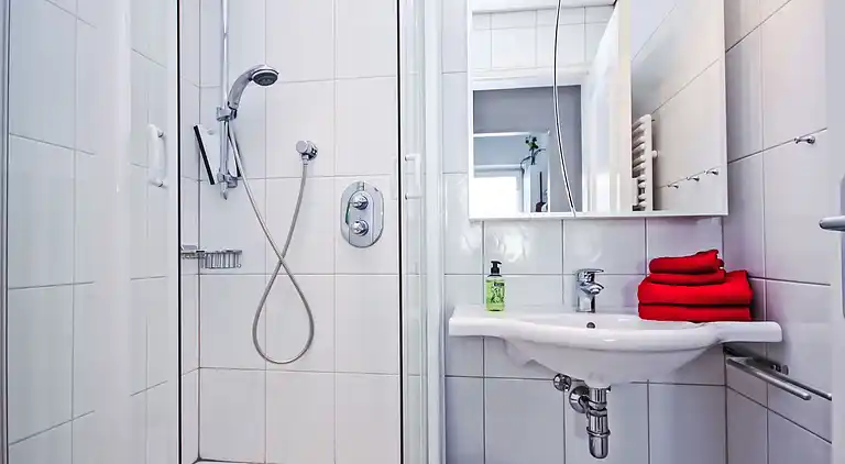 Feriebolig i Zell am See