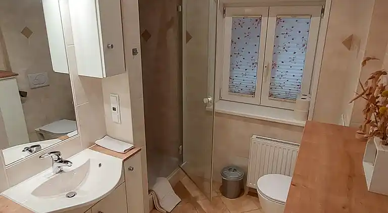 Holiday home in Maishofen