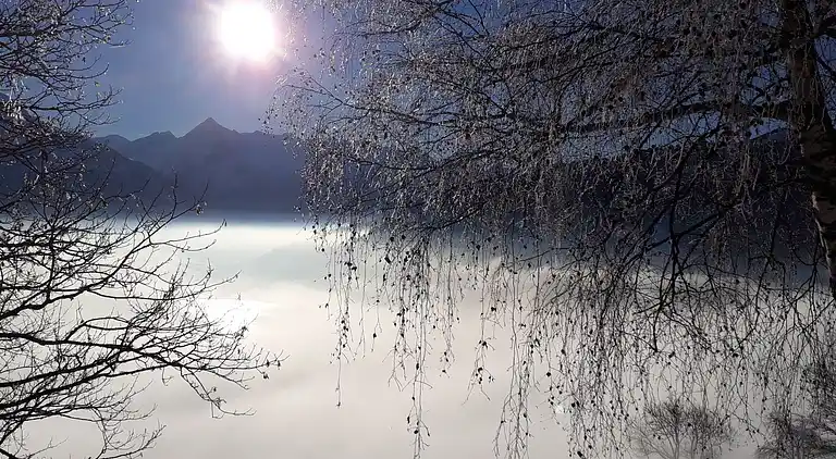 Vacation home in Zell am See