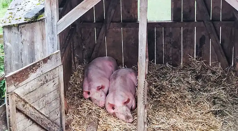 Vacation home in Zell am See