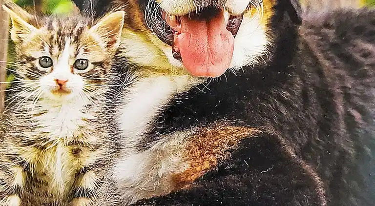 Holiday home in Jesdorf