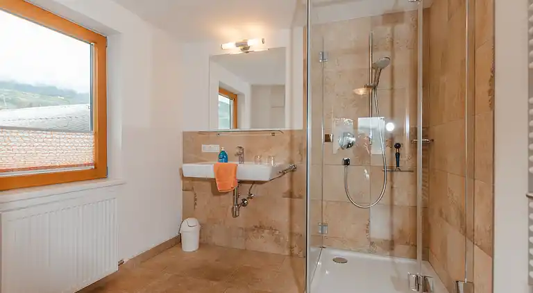 Holiday home in Hollersbach im Pinzgau