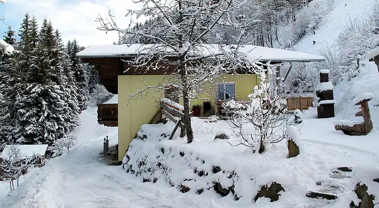 Feriebolig i Hollersbach im Pinzgau