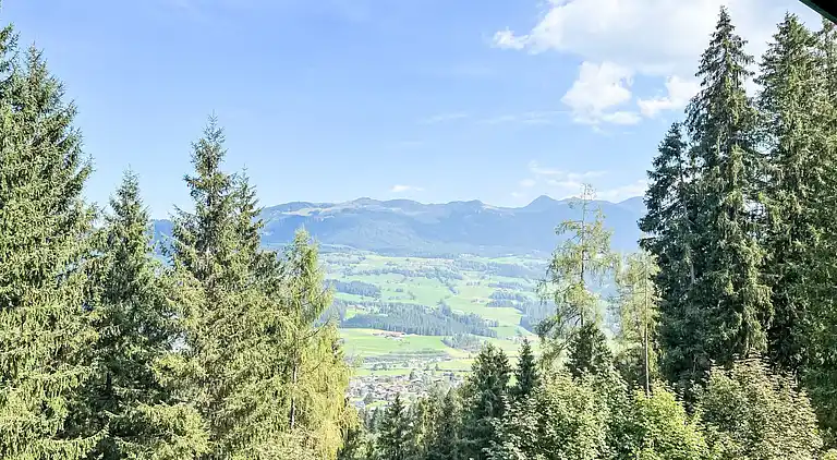 Feriebolig i Hollersbach im Pinzgau