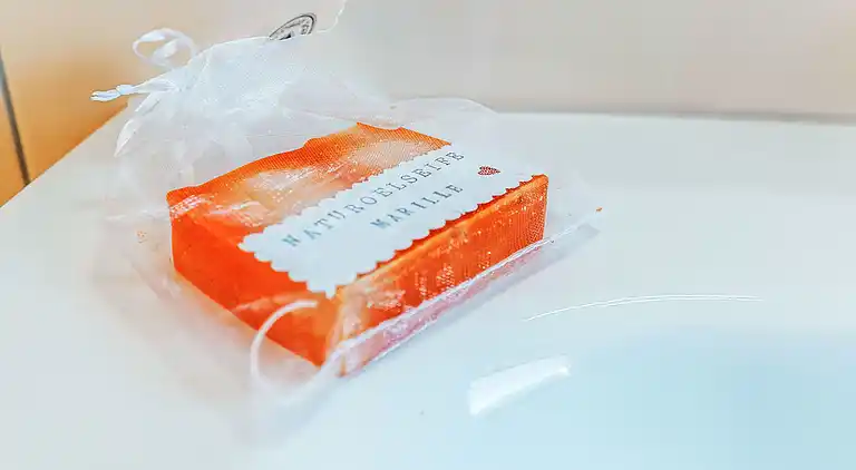 Holiday home in Sonnberg