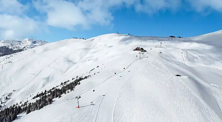 Holiday home in Schweinegg